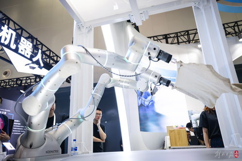 共商人工智能未來 世博展覽館再掀AI熱潮，聚焦人工智能基礎軟件開發